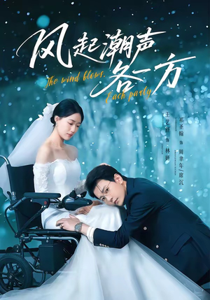 风起潮声各一方（84集）短剧限免全集任你点