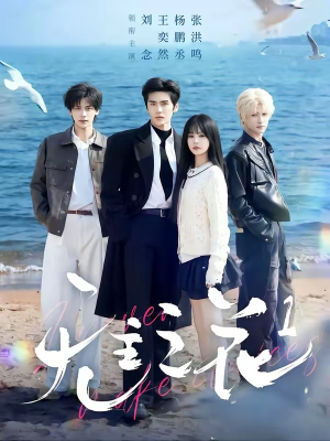 无主之花1（72集）再也不用花钱看短剧了推荐