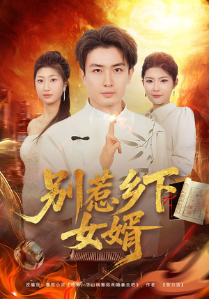 别惹乡下女婿（80集）一口气看到热门短剧全集