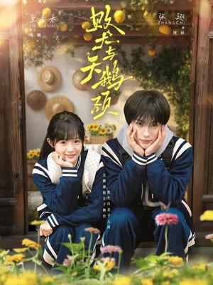 败犬与天鹅颈（71集）都市生活短剧免费在线观看
